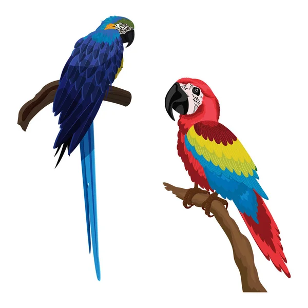 Ilustração Vetorial Papagaio Bonito Colorido — Vetor de Stock