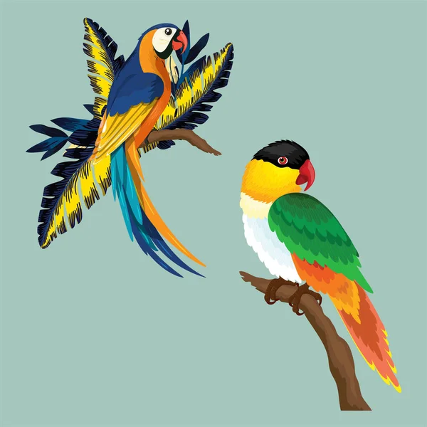 Vektor Illustration Färgglada Vackra Papegoja — Stock vektor