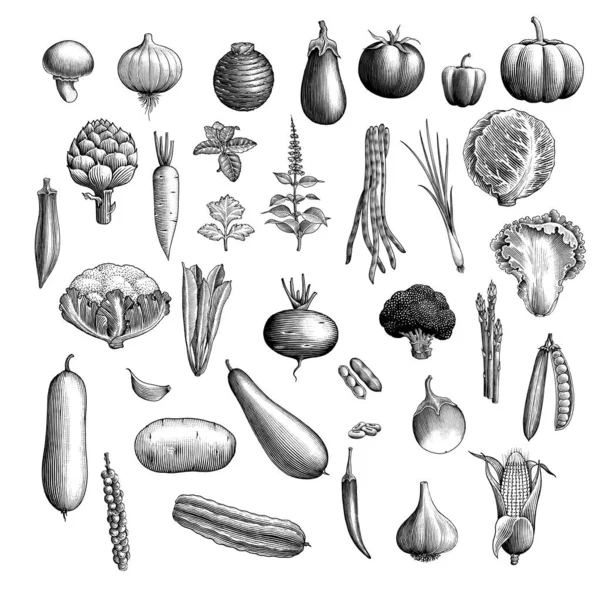 Colección Verduras Arte Blanco Negro — Vector de stock