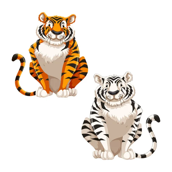 Orangefarbene Tiger Und Weiße Tiger Vektor Illustration — Stockvektor