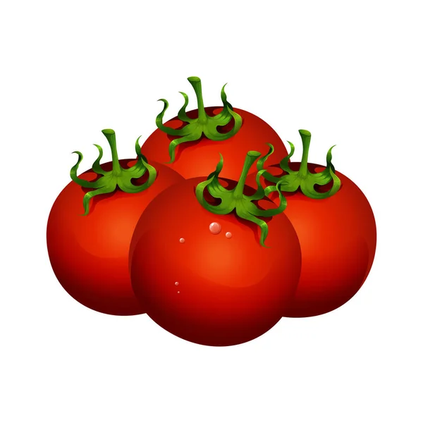 Realistische Tomatenvector Geïsoleerd — Stockvector