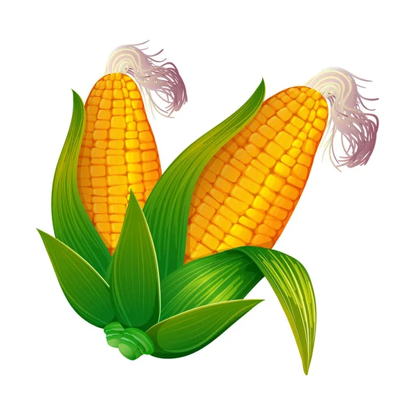 Реалистичная Векторная Кукуруза — стоковый вектор
