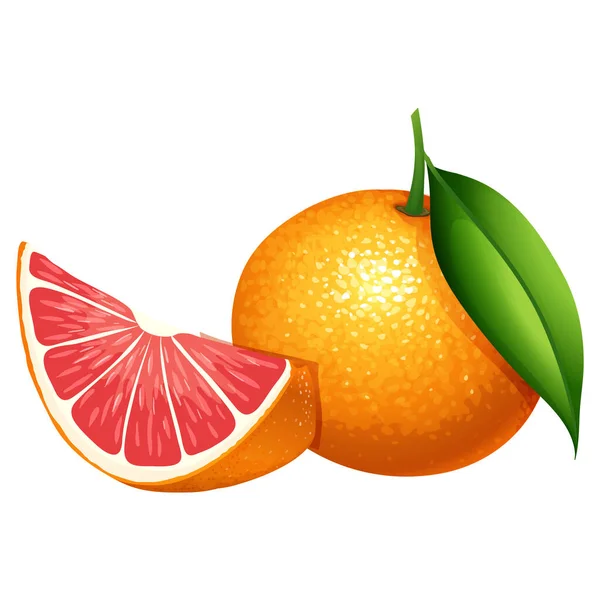 Vektor Realistiska Hela Apelsiner Och Skivade Apelsiner — Stock vektor