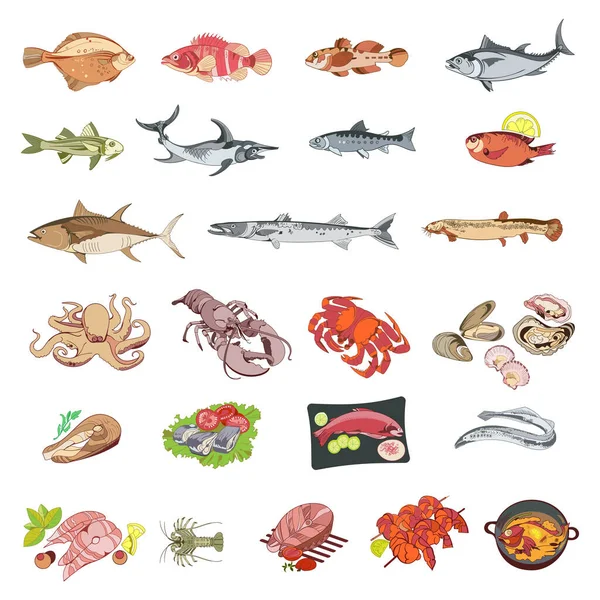 ベクトルイラスト 魚介類の収集 — ストックベクタ