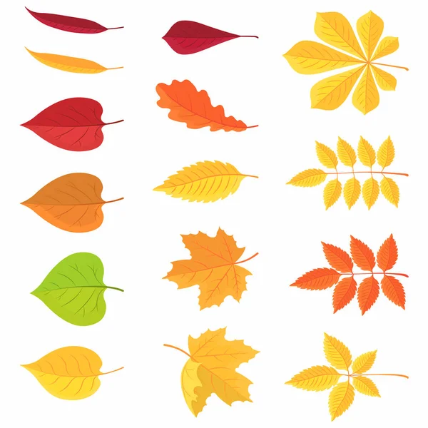 植物セット明るい秋の葉 — ストックベクタ