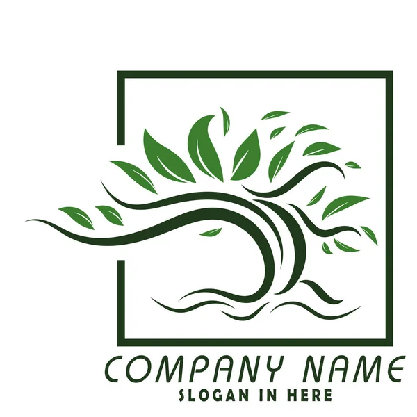 Racine Feuille Inspiration Arbre Logo Conception — Image vectorielle