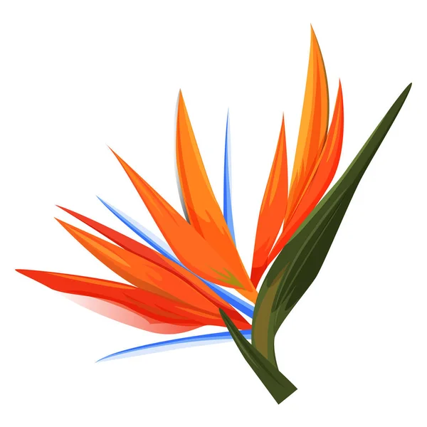 Logo Jednoduchým Znakem Strelizia Pro Květinu — Stockový vektor