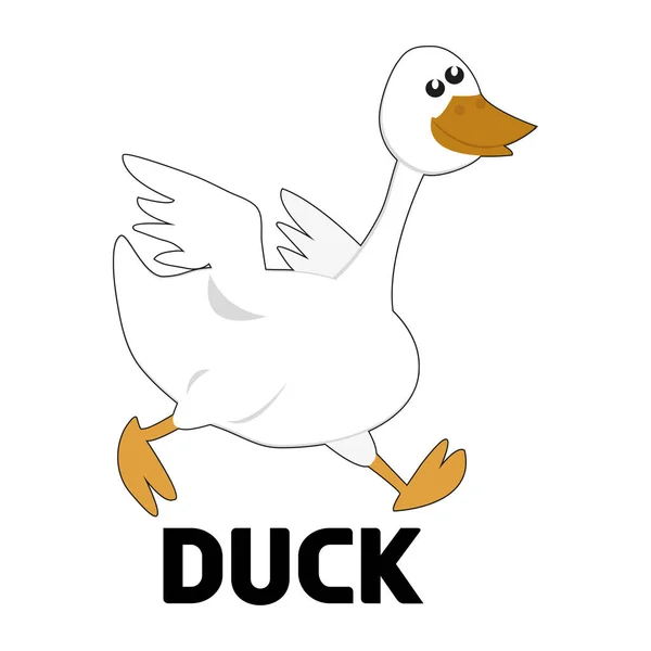 Zeichnung Tierischer Ente Auf Weiß — Stockvektor