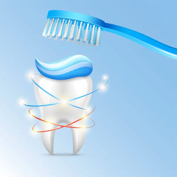 Vector Realistic Teeth Clean Healthy2 — Stock Vector