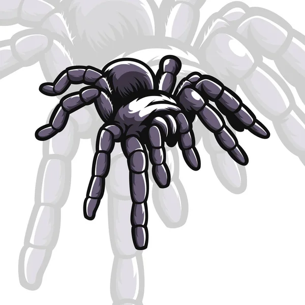 Oyun Tişört Tasarımı Için Vektör Örümcek Maskotu Logosu Stok Illüstrasyon