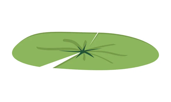 蓮の葉の切り株 緑の蓮の葉ベクトルデザイン 白を基調にしたシンプルな可愛い蓮の葉漫画風イラスト 睡蓮の葉平面図 — ストックベクタ