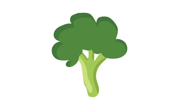 Beyaz Arkaplanda Izole Edilmiş Basit Brokoli Clipart Vektör Çizimi Taze — Stok Vektör
