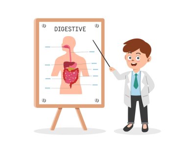 Sindirim sistemi klipsli çizgi film. Tıp seminerinde insan sindirim sistemini sunan doktor düz vektör çizimi. Gastrobağırsak, karaciğer, mide, bağırsak. Doktor konferansı kavramı