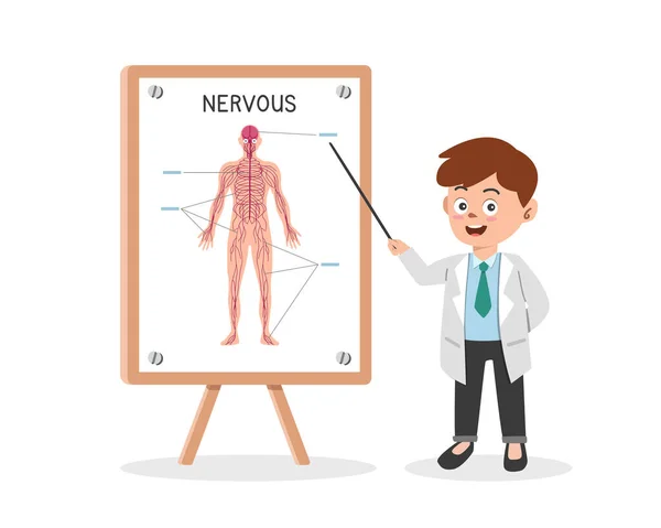 Sistema Nervioso Clipart Estilo Dibujos Animados Doctor Presentando Sistema Nervioso — Archivo Imágenes Vectoriales