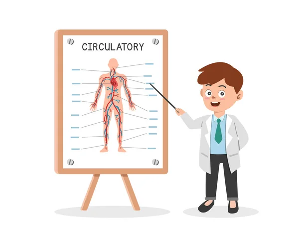 Sistema Circulatorio Clipart Estilo Dibujos Animados Doctor Presentando Sistema Circulatorio — Archivo Imágenes Vectoriales