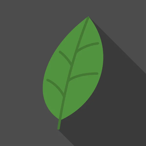 黑色背景上的绿叶扁平的图标 有很长的阴影 简单生物学图标象形文字矢量插图 叶绿素 植物学家 生物学概念 标志设计 — 图库矢量图片