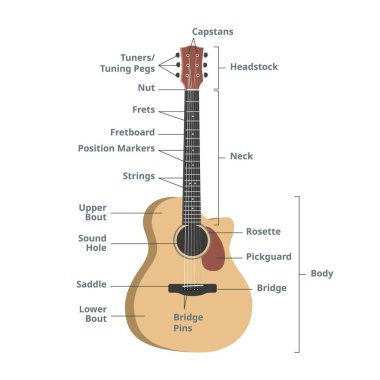 Akustik gitar grafiği vektör çiziminin parçaları. Gitar anatomisi bilgisi. Gitar parçaları. Yatak başlığı, boyun, fretboard, teller, akort mandalları, ses deliği, yankesici. Gitar vektör tasarımı