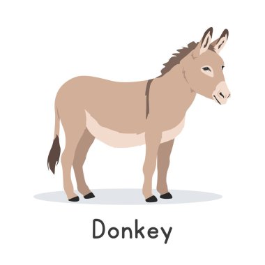 Eşek vektör çizimi. Sevimli eşek çizgi film karakteri, düz stil bir hayvan. Çiftlik hayvanları konsepti, kırsal tarım. Beyaz zemin üzerinde izole edilmiş çiftlik hayvanı hayvan eşek vektör tasarımı