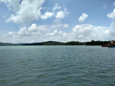 Doğada akan nehir manzarası