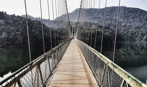 stock image Hanging Bridge in the Forest