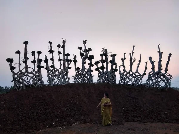 Bahçedeki dekorasyon ağacı.