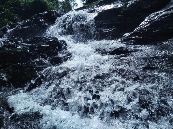 Ormanda güzel bir şelale