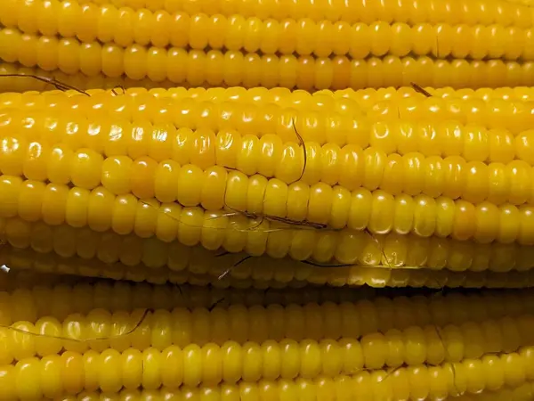 Детская Кукуруза Изолированные Фоне Плиты — стоковое фото