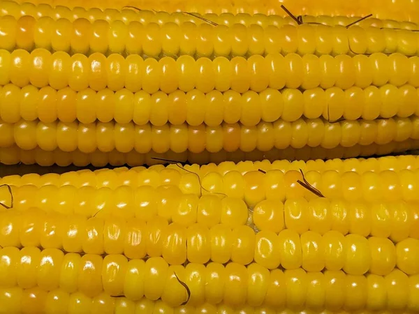 Детская Кукуруза Изолированные Фоне Плиты — стоковое фото