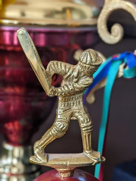 Kriket vurucusu Altın Heykel Kupası 