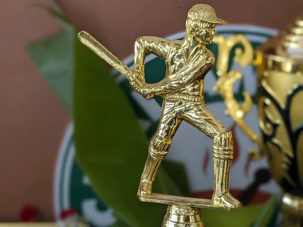 Kriket vurucusu Altın Heykel Kupası 