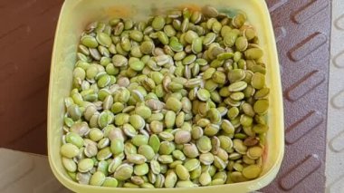 Taze fasulye kaseye düşüyor.
