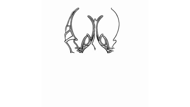 Schwarz Weiße Minimalistische Skull Logo Zeichnung Animation — Stockvideo
