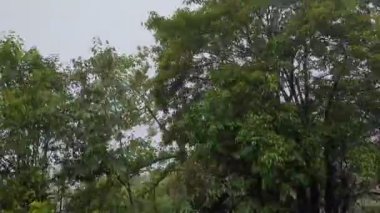 Dağlarda sisli bir sabah