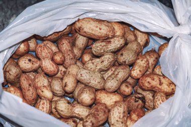 Yerfıstığının Yakın Çekimi (Fıstık) - Taze ve Doğal Doku