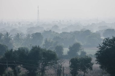 Peyzajdaki Sabah Pusları: Serene Fog Ufku Örtüyor