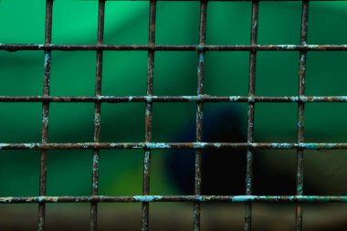 Kareli Kutular ve Yeşil Bulanık Arkaplan ile Soyut Kafes: Yaratıcı Bir Kavram