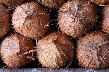 Marketteki Eşsiz Bir Tropikal Pazar Fotoğrafında Soyut Hindistan Cevizi Çekimi