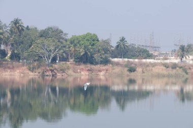 Huzurlu Sabah Gölü Görünümü Huzur Suyu ve Rahatlatıcı Gündoğumu Yansımaları