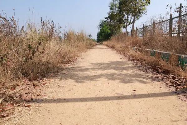 Serene Pathway Park 'ta Huzurlu Yürüyüş Doğa ile çevrili