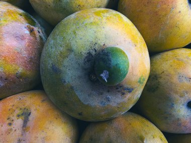 Pazar Vibrant Tropikal Meyve Gösterisinde Taze Mangoların Yakın Çekimi