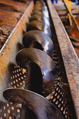 Areca Fındık İşleme Makinesi Eylemde Betel Fındık İşleme