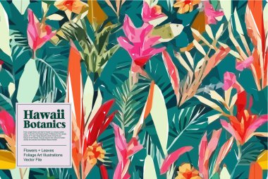 Colorful flowers, plants and leaves. Vector illustrations of flower and bird for classic floral background, wedding invitations and frame