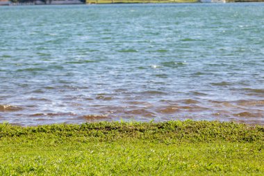 Toprak ve su, arka planda bulanıklık için hazır. Önplanda çimenler