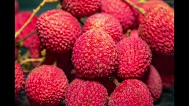 Meyve detaylarını gösteren panoramik videoda olgun liçi meyvesi (Litchi chinensis)
