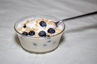 Natural yogurt with blue berries, oat flakes and honey. healthy natural probiotic