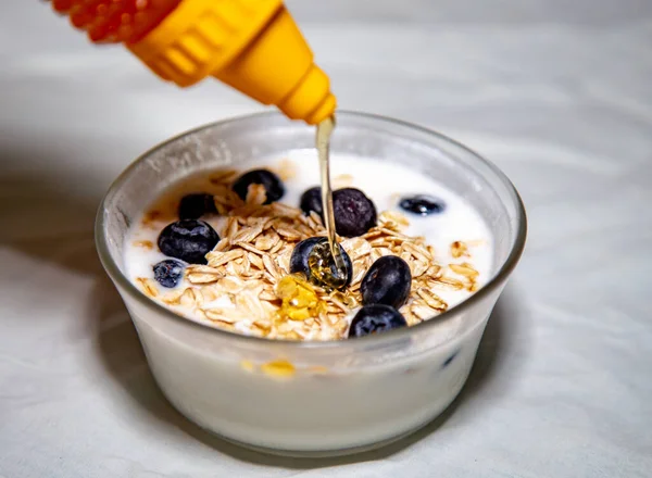 Natural yogurt with blue berries, oat flakes and honey. healthy natural probiotic