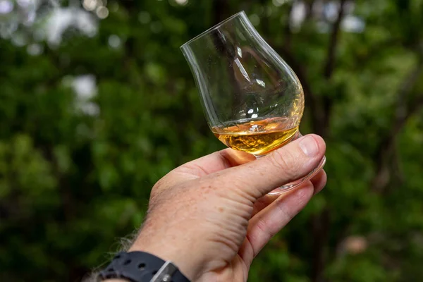 Whisky Escocés Malta Simple Vidrio Glencairn — Foto de Stock