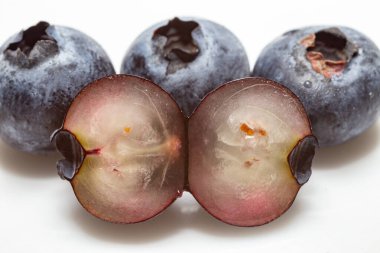 Seçici bir odak noktasında yaban mersini (Aşı Melezi) izole edilir. Olgun meyve.