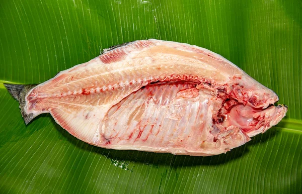 Тамбаки Colossoma Macropomum Традиционная Бразильская Пресноводная Рыба Амазонки Пантанала Банановом — стоковое фото
