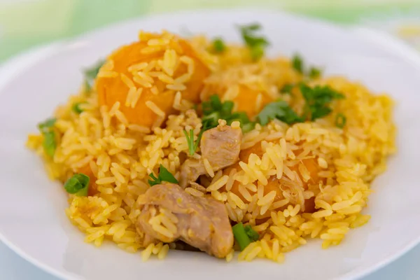 Traditionelles Rezept Für Reis Mit Huhn Und Pequi Caryocar Brasiliense — Stockfoto